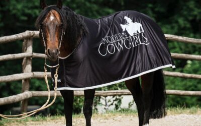 So Horse By Choice