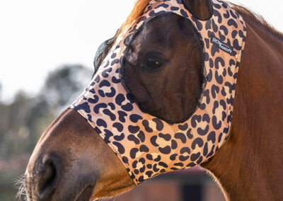 El Pinto Store EQUITATION WESTERN