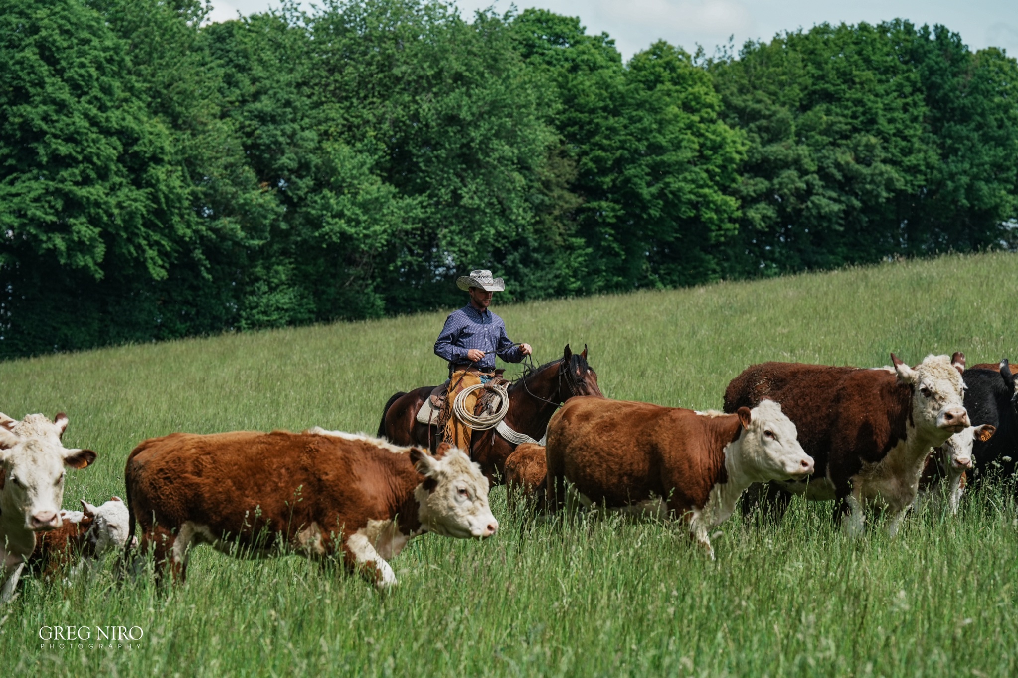 four seasons ranch, valeille