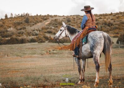 Longhorn Ranch - Surin