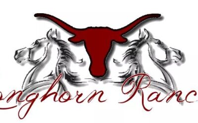 Longhorn Ranch – Surin