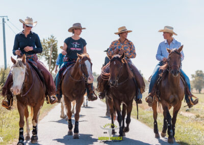 Longhorn Ranch - Surin