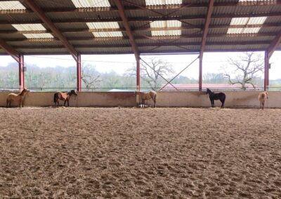 Ecurie Red Spring, Sénaud, Equitation western, quarter horse