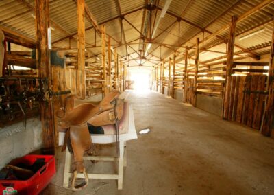 Ecurie Red Spring, Sénaud, Equitation western, quarter horse