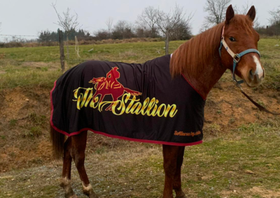 SO HORSE BY CHOICE COUVERTURE CHEVAUX